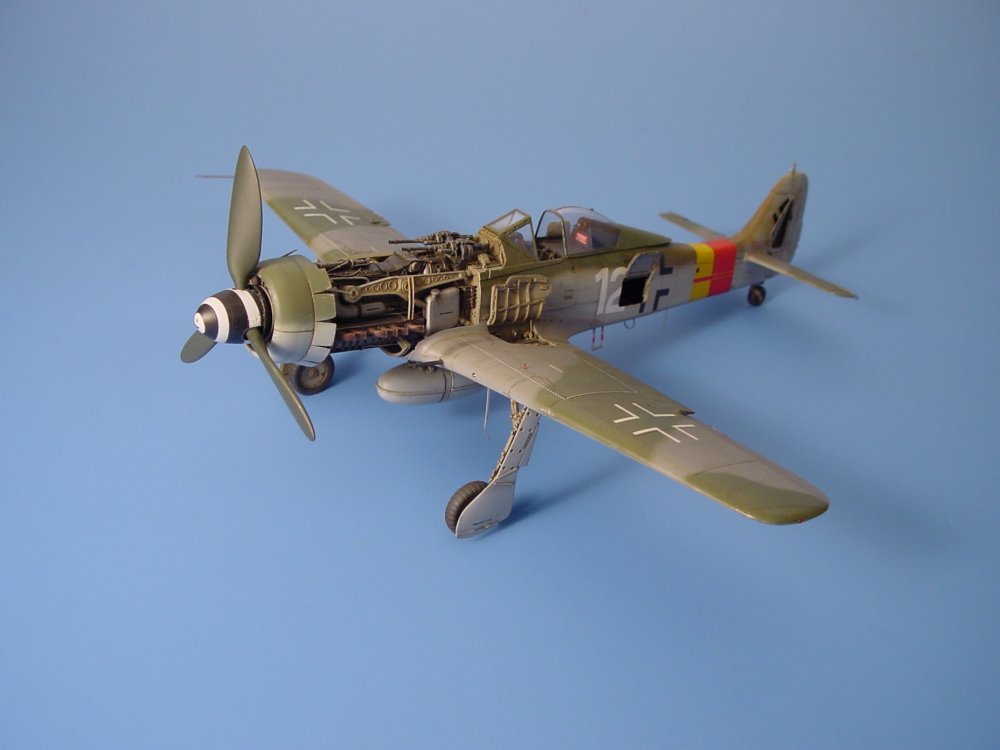 1/48 Fw-190D9 Set