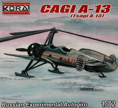 1/72 CAGI A-13