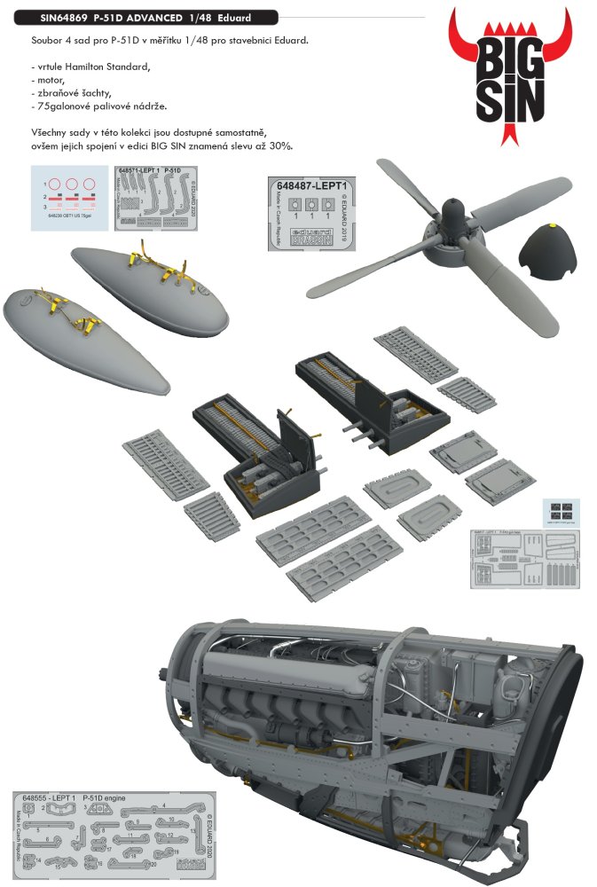 BIGSIN 1/48 P-51D ADVANCED