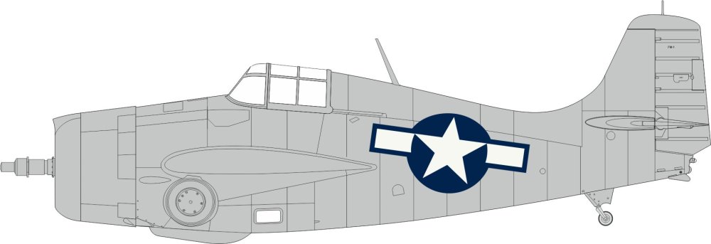 Mask 1/48 FM-1 US national insignia (TAM)